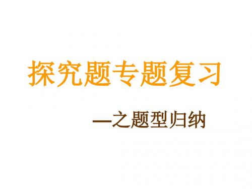 浙江省温州市龙湾区实验中学中考科学总复习 探究题专