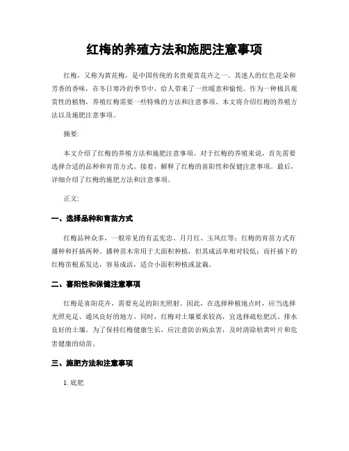 红梅的养殖方法和施肥注意事项