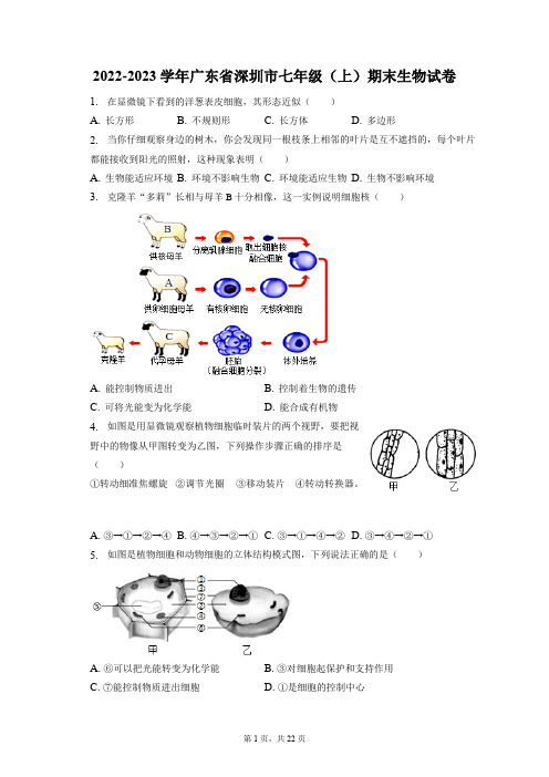 2022-2023学年广东省深圳市七年级(上)期末生物试卷(附答案详解)