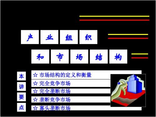 产业组织与市场结构PPT课件( 29页)