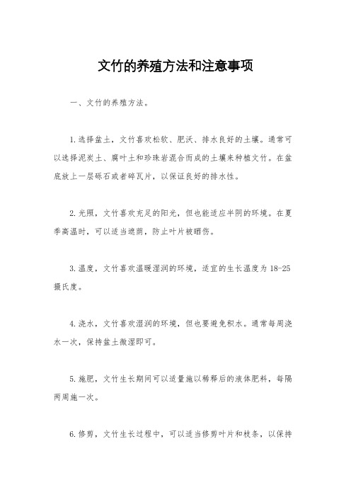 文竹的养殖方法和注意事项