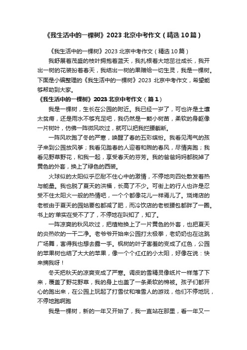 《我生活中的一棵树》2023北京中考作文（精选10篇）