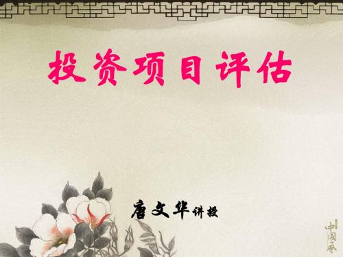 投资项目评估---第11章投资项目的不确定性分析