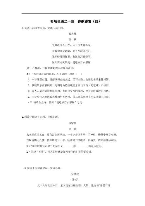 2020年高考语文二轮复习专项训练23：诗歌鉴赏(四)(含答案)