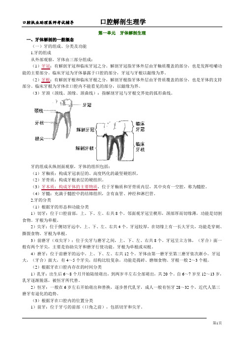 执业医师考试口腔解剖生理学考点梳理-第一单元 牙体解剖生理