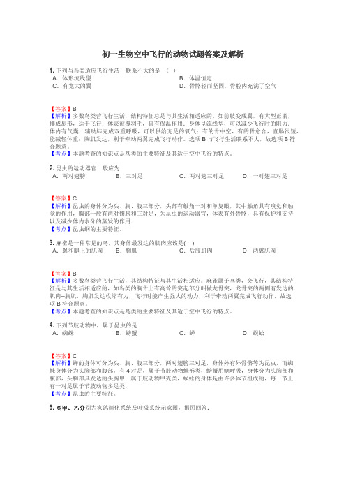 初一生物空中飞行的动物试题答案及解析
