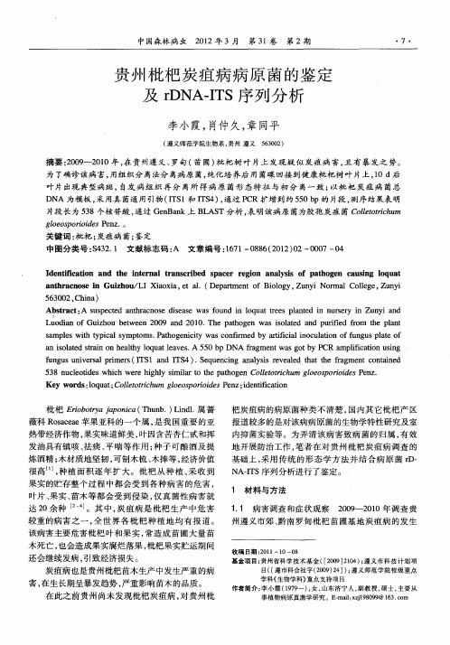 贵州枇杷炭疽病病原菌的鉴定及rDNA-ITS序列分析