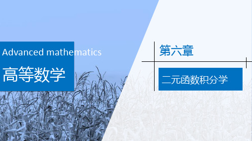 高等数学-二元函数积分学