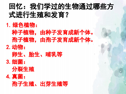 苏科版生物-八年级上册第七单元第19章植物的生殖(课时一)课件