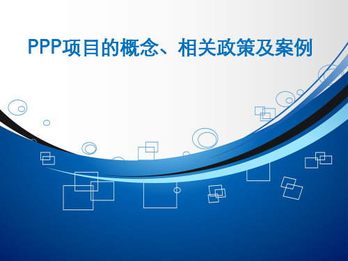 ppp项目概念政策案例