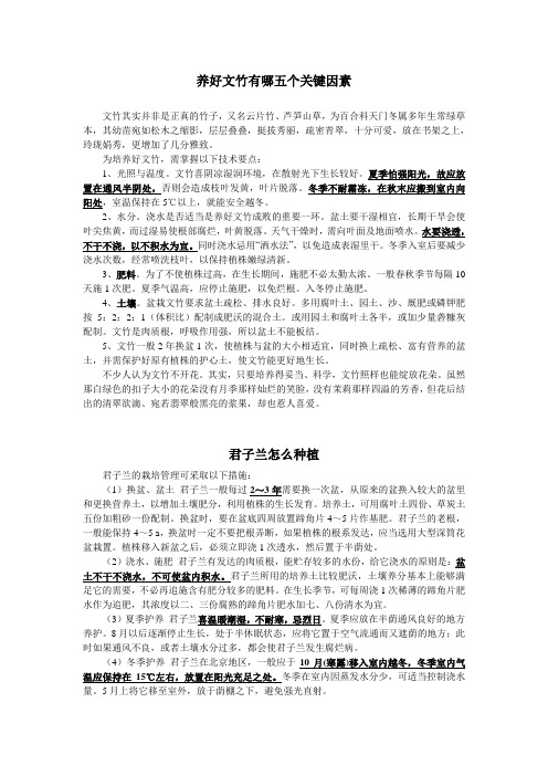 养好文竹有哪五个关键因素