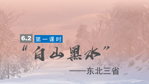 人教八下“白山黑水”东北三省PPT实用课件