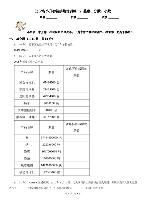 辽宁省小升初衔接培优训练一：整数、分数、小数