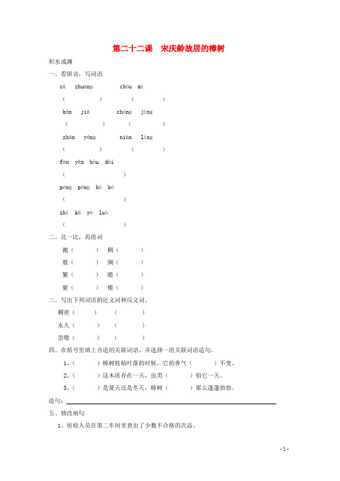 四年级语文下册《22宋庆龄故居的樟树》同步精练苏教版