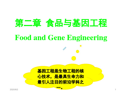 食品生物技术导论基因工程