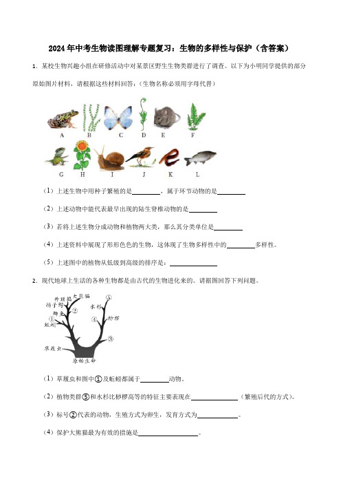 2024年中考生物读图理解专题复习：生物的多样性与保护(含答案)