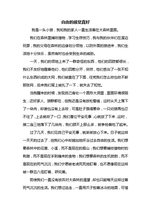 初三作文:什么的感觉真好作文800字_1