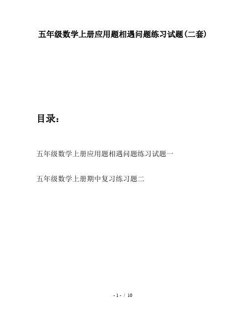 五年级数学上册应用题相遇问题练习试题(二套)