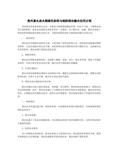 贵州惠水县水稻绿色防控与统防统治融合应用示范