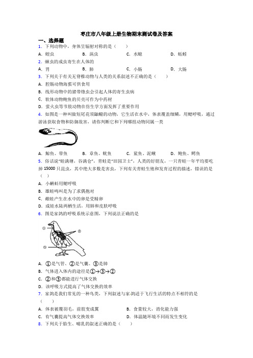 枣庄市八年级上册生物期末测试卷及答案