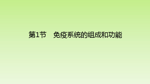 【课件】免疫系统的组成和功能课件2022-2023学年高二上学期生物人教版选择性必修1