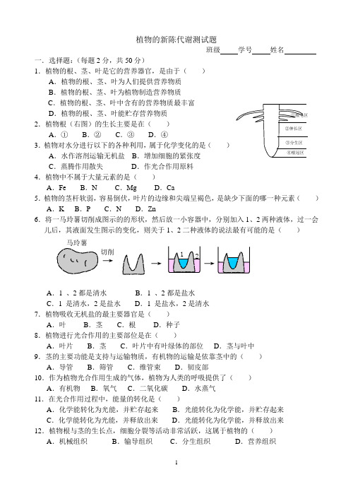 植物的新陈代谢测试题