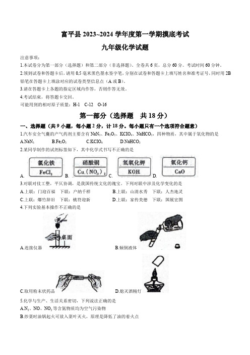 陕西省渭南市富平县2023-2024学年九年级上学期摸底考试化学试题(含答案)