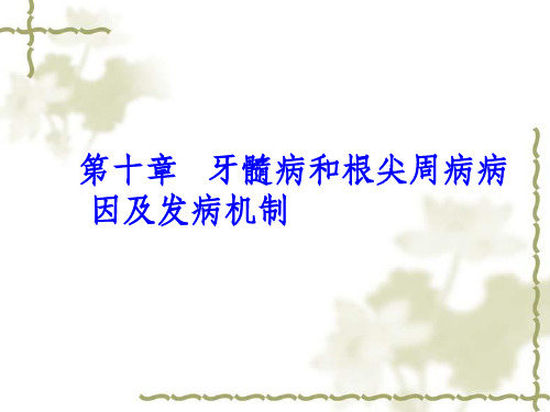 牙髓病和根尖周病病因及发病机制_温医《牙体牙髓病学》