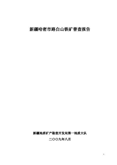 新疆哈密市路白山普查报告