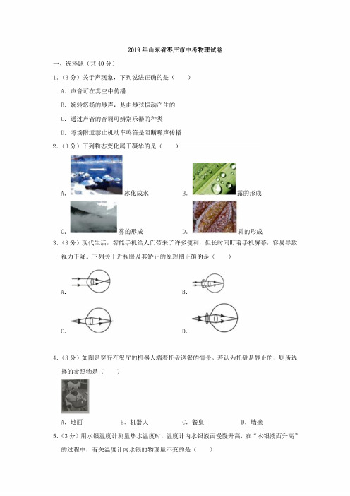 山东省枣庄市2019年中考物理真题试题（含解析）