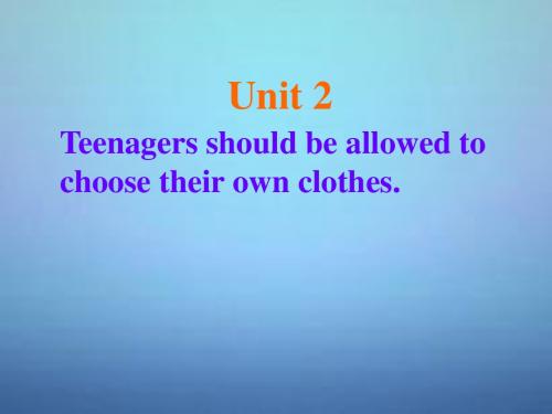 九年级英语全册 Unit 2 Teenagers should be allowed to choose their own clothes Section B课件2