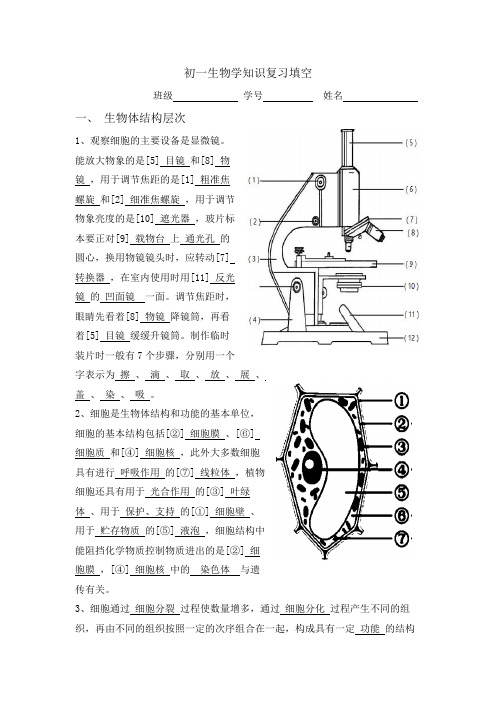 生物初一上知识复习填空(带答案)