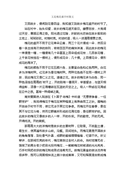 又是槐花盛开时散文