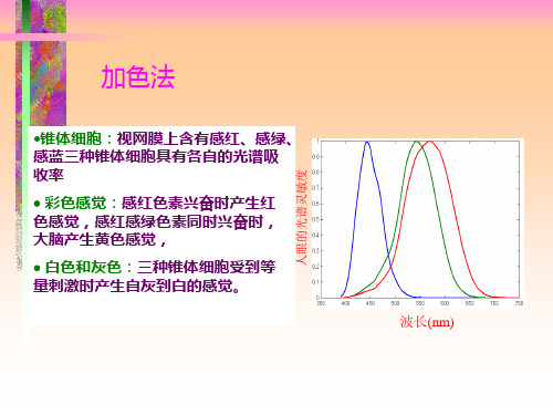 色彩管理技术原理ppt课件