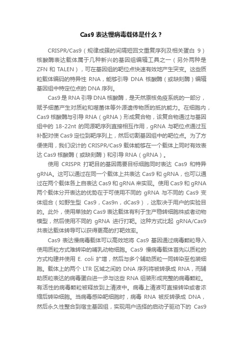 Cas9表达慢病毒载体是什么？