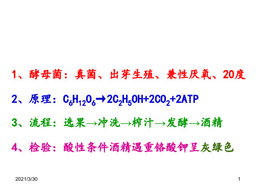 高中生物选修一复习 ppt课件