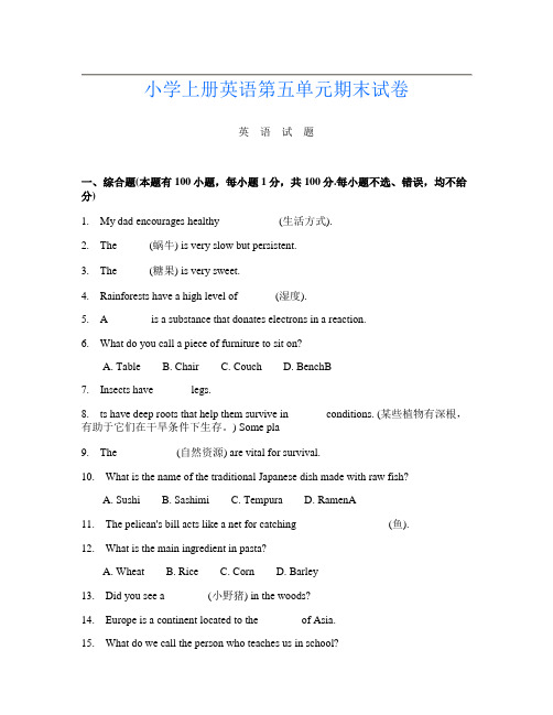 小学上册B卷英语第五单元期末试卷