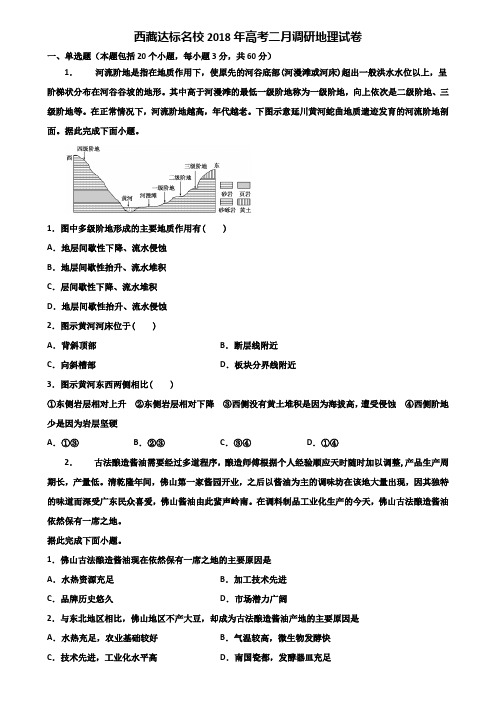 西藏达标名校2018年高考二月调研地理试卷含解析