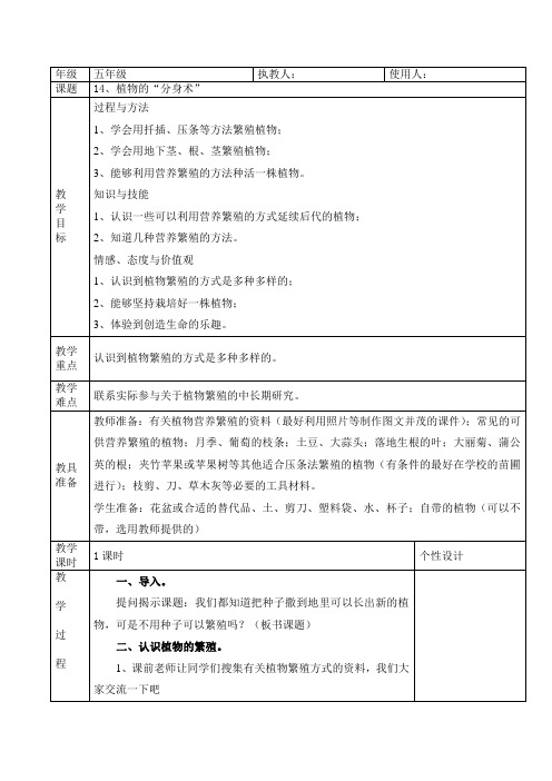 植物的“分身术”