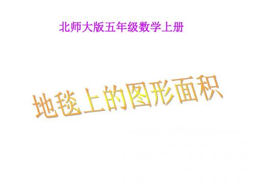 五年级数学地毯上的图形面积(新2019)