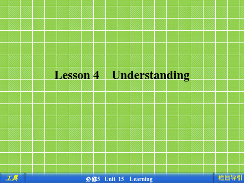 北师大版高中英语必修五Unit 15 《Lesson 4 Understanding》课件 3