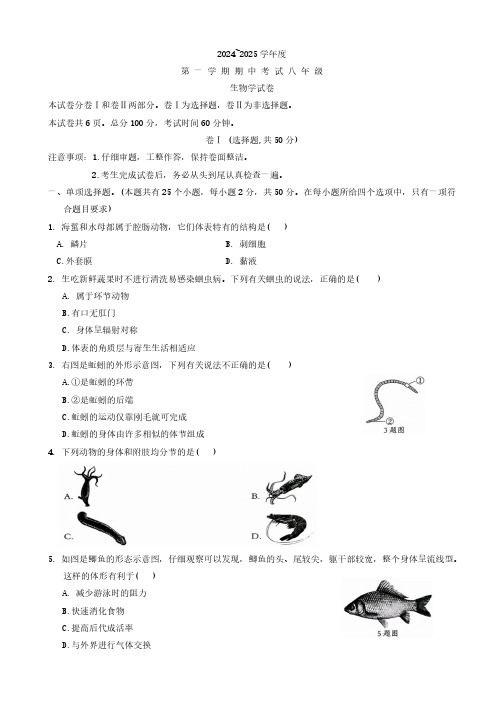 河北省唐山市滦州市2024-2025学年八年级上学期11月份期中考试生物试题(word版 无答案)