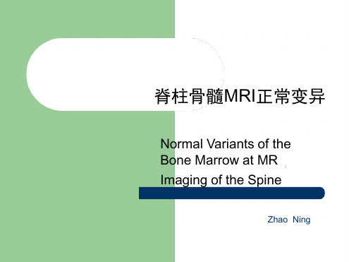 脊柱骨髓正常变异PPT课件