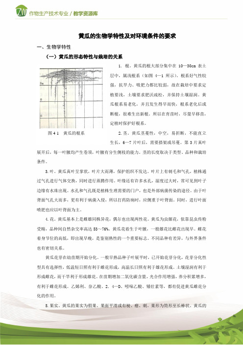 设施蔬菜生产黄瓜的生物学特性及品种类型(精)