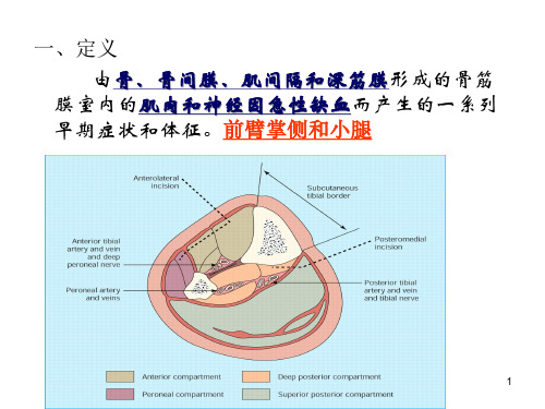 骨筋膜室综合征PPT课件