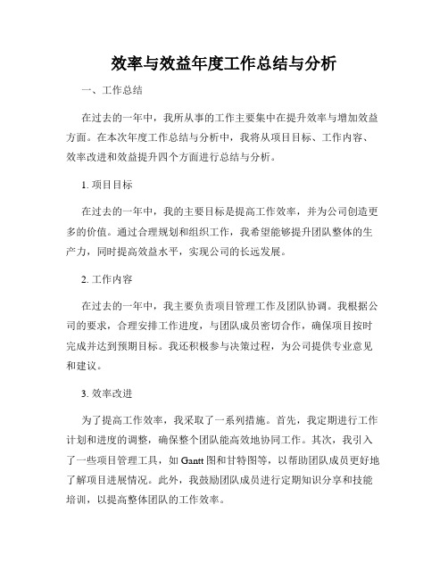 效率与效益年度工作总结与分析