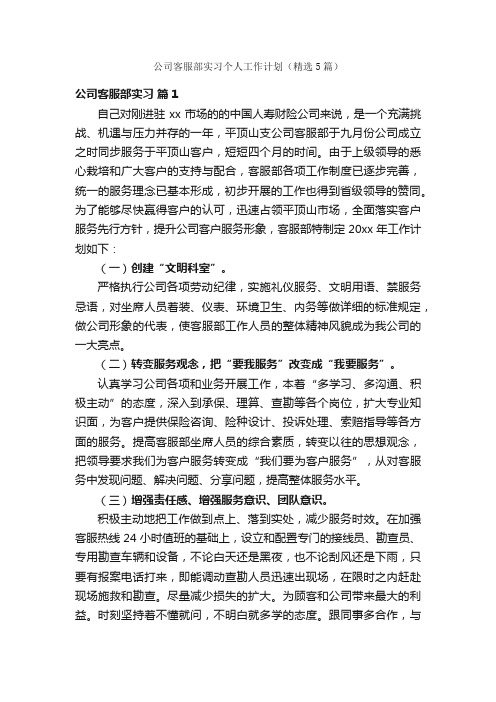 公司客服部实习个人工作计划（精选5篇）