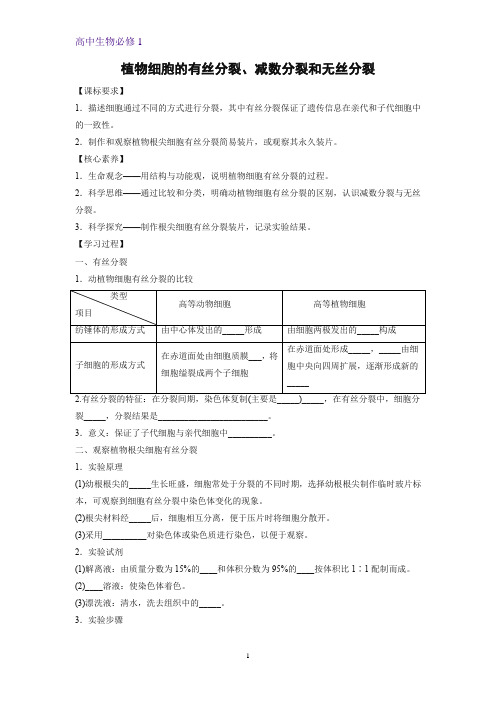 4.1.2 植物细胞的有丝分裂、减数分裂和无丝分裂学案 高一上学期生物苏教版(2019)必修第一册