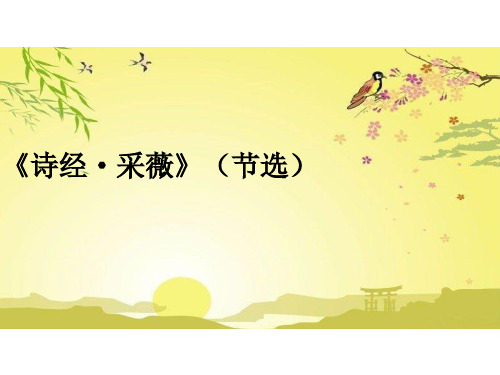 六年级下册《采薇(节选)》课件(共28张PPT)