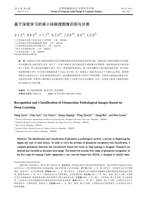 基于深度学习的肾小球病理图像识别与分类